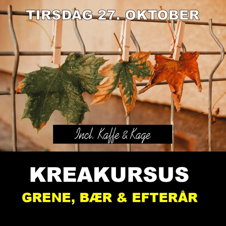 3. KREA KURSES: GRENE, B�R OG EFTER�R 27/10 2026