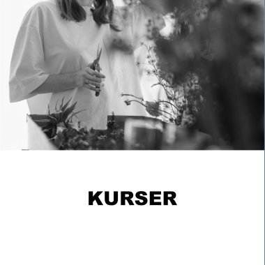 KURSER